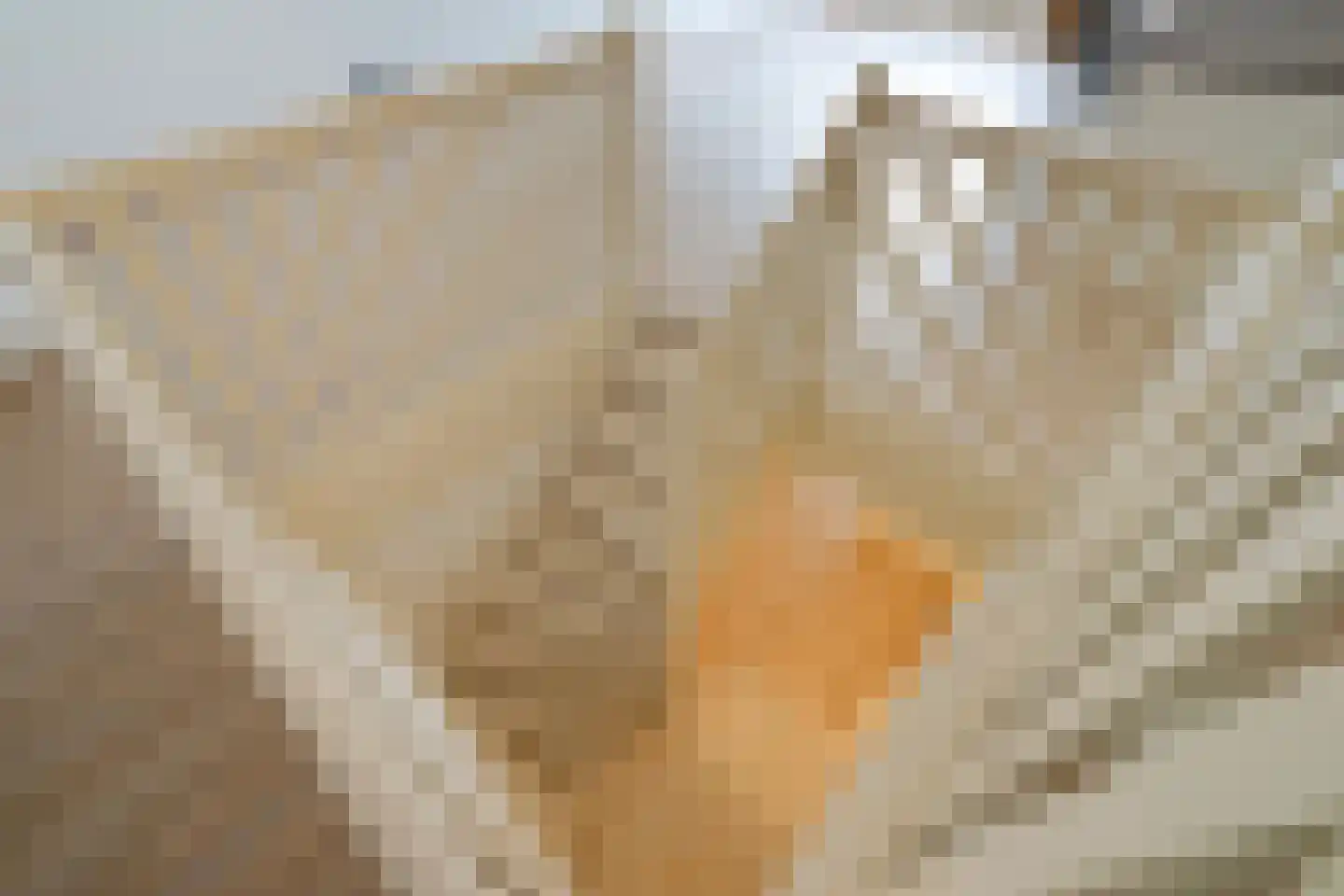 Vleersteeg 14 Vlaardingen thumbnail 25