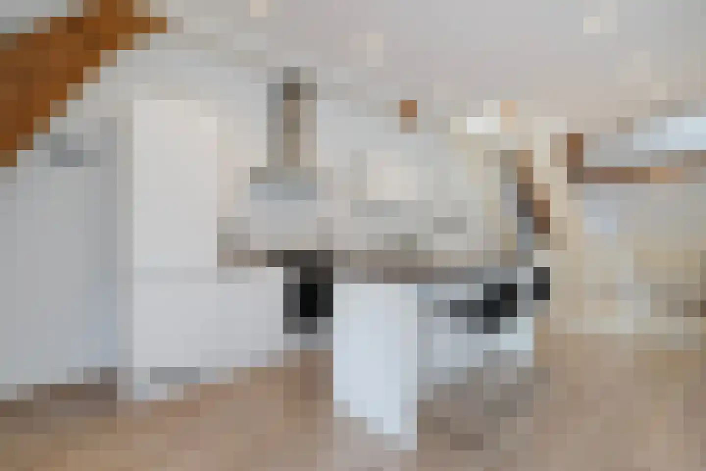 Vleersteeg 14 Vlaardingen thumbnail 4