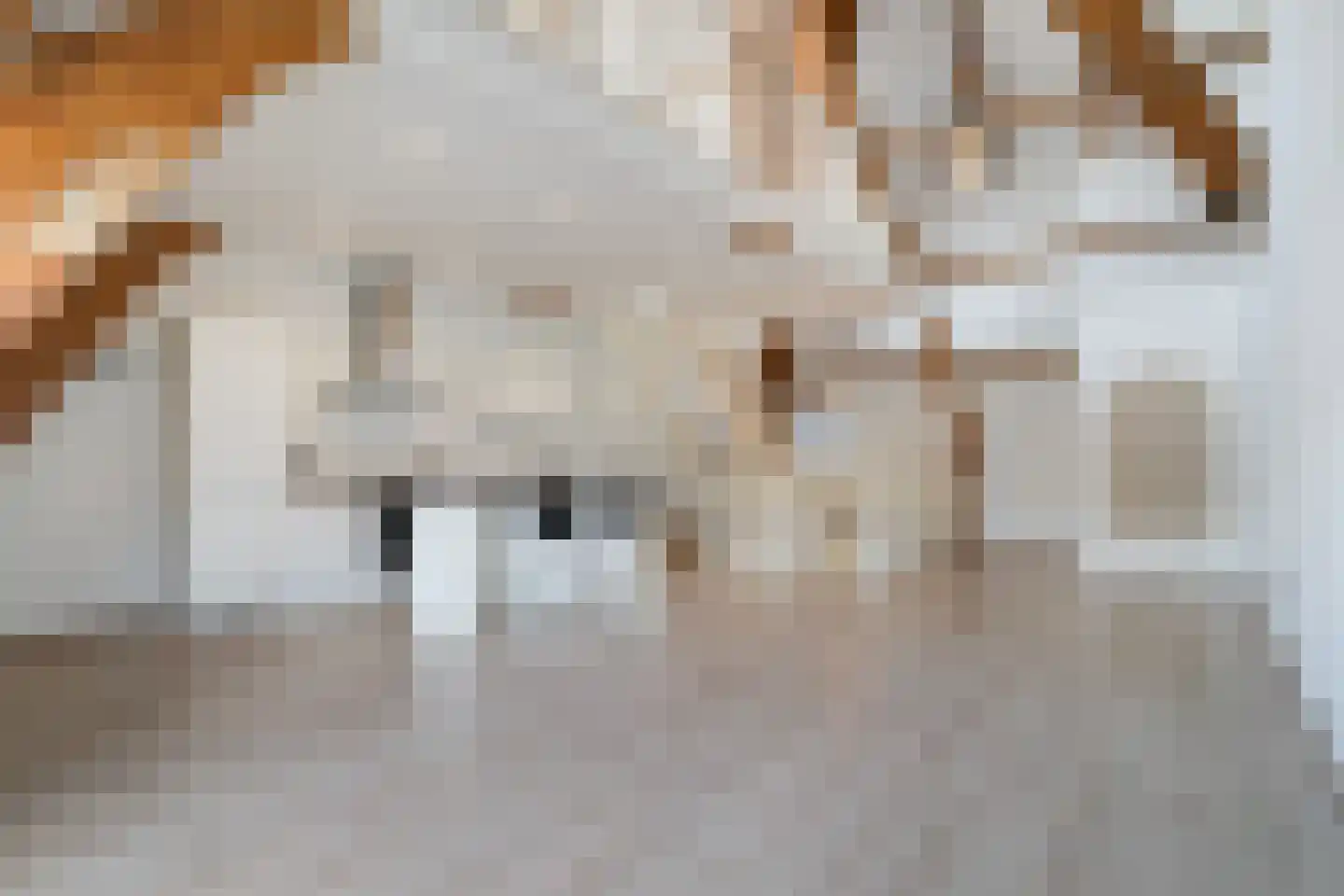 Vleersteeg 14 Vlaardingen thumbnail 5