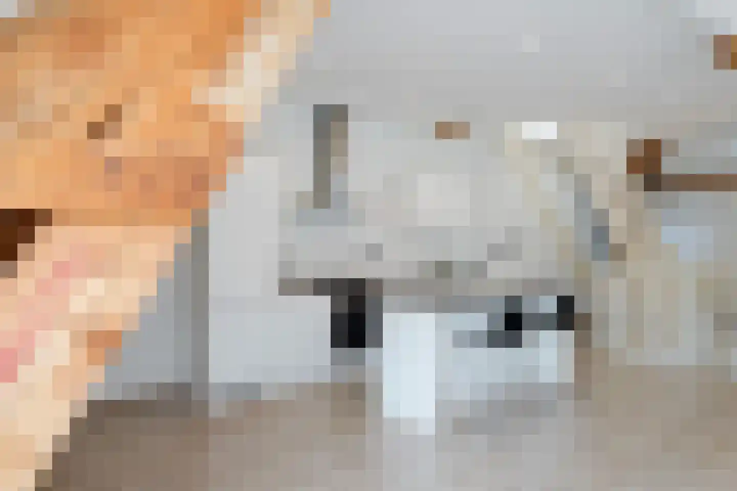 Vleersteeg 14 Vlaardingen thumbnail 7
