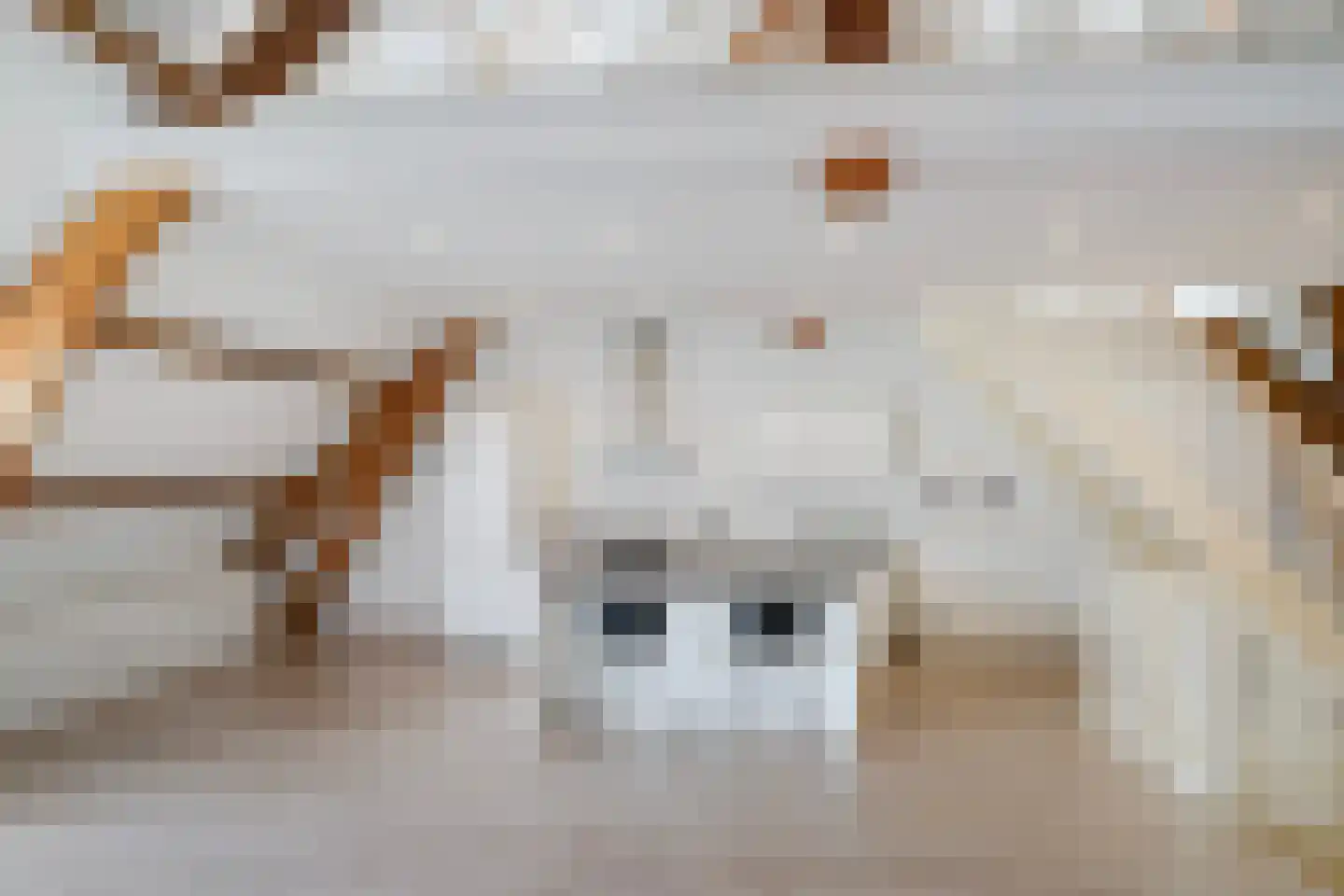 Vleersteeg 14 Vlaardingen thumbnail 8