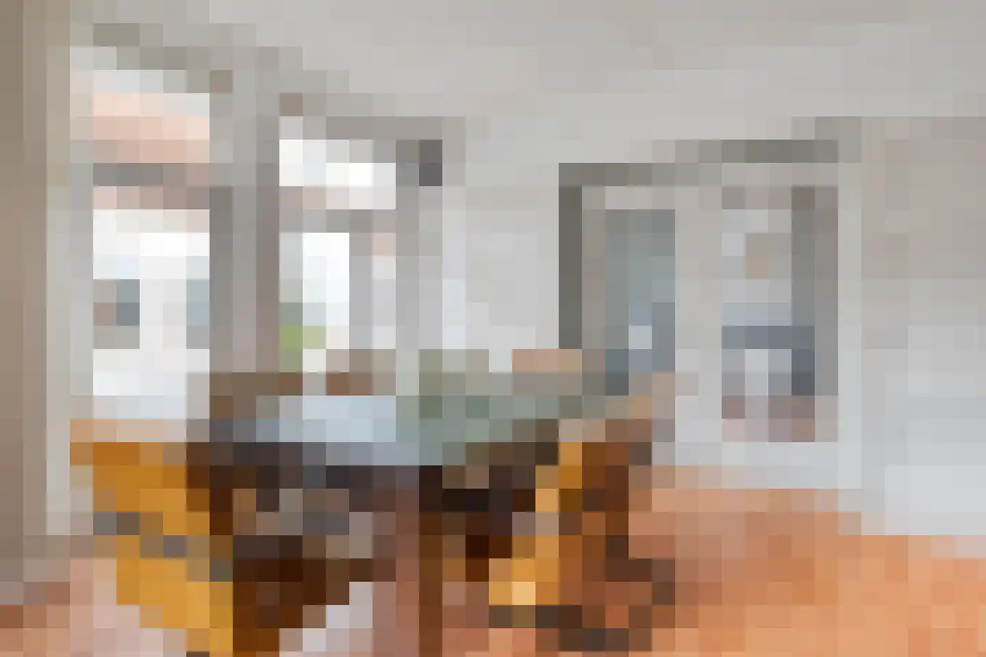 Vleerstraat 1 Den Haag thumbnail 12