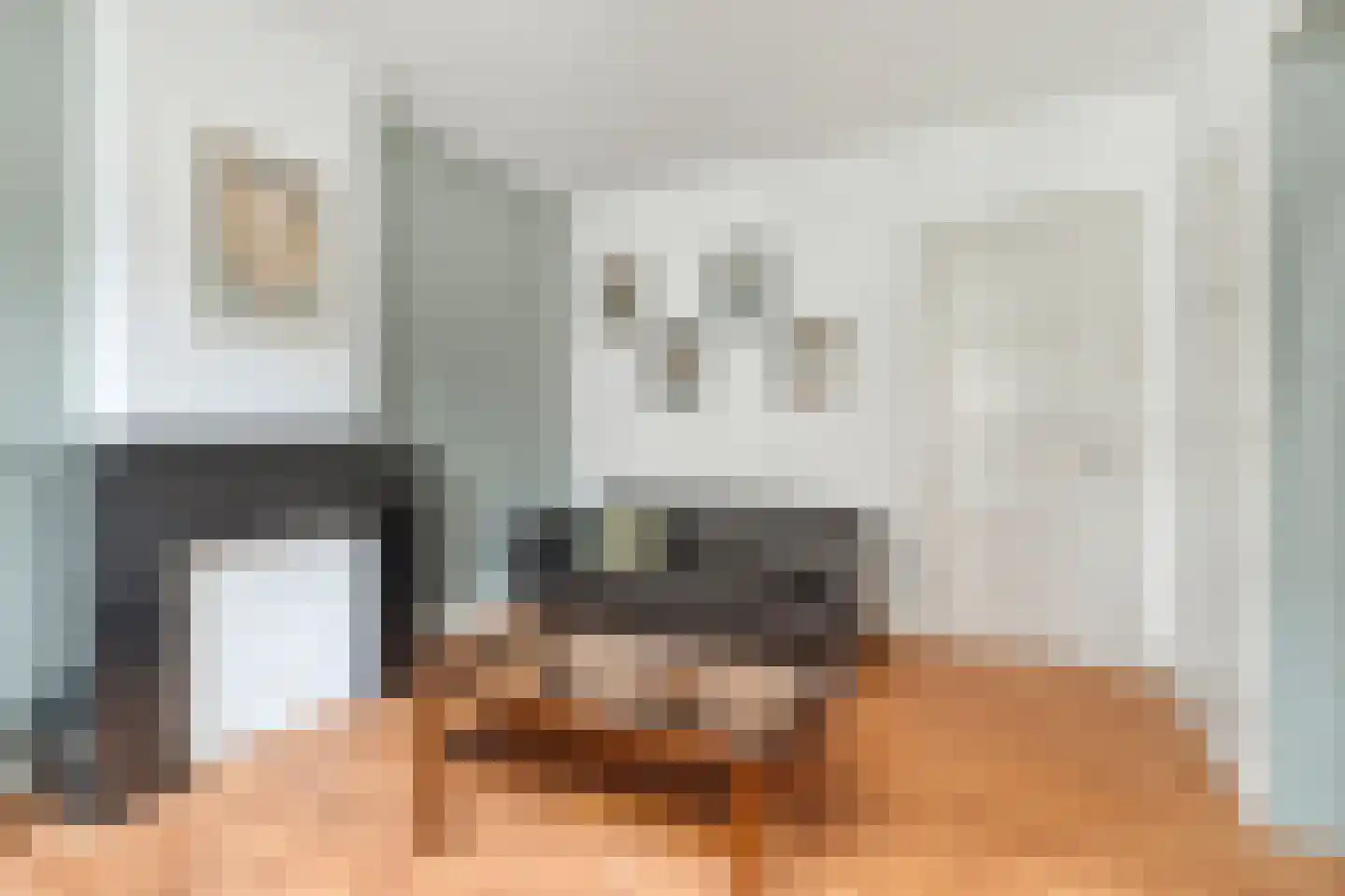 Vleerstraat 1 Den Haag thumbnail 9
