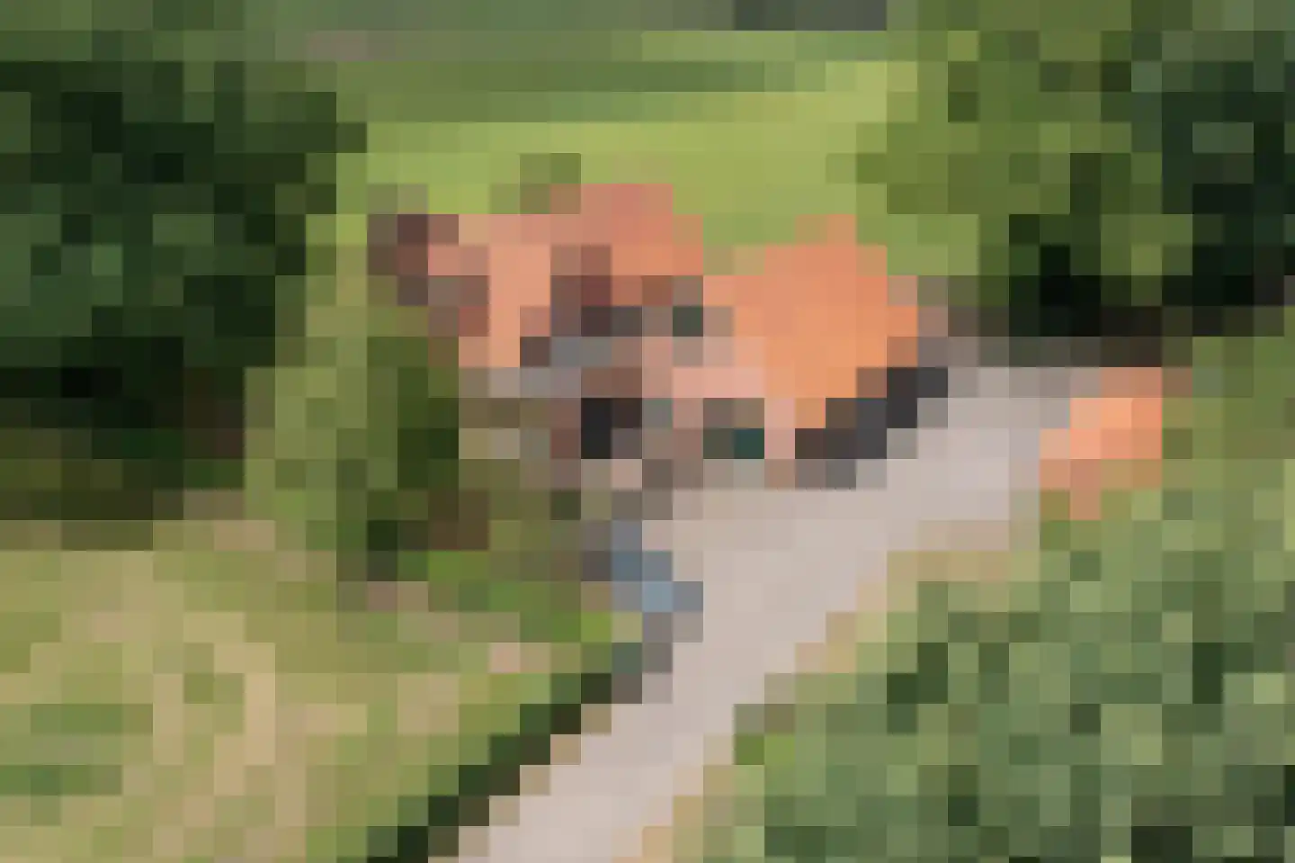 Vleerweg 6 dans Albergen
