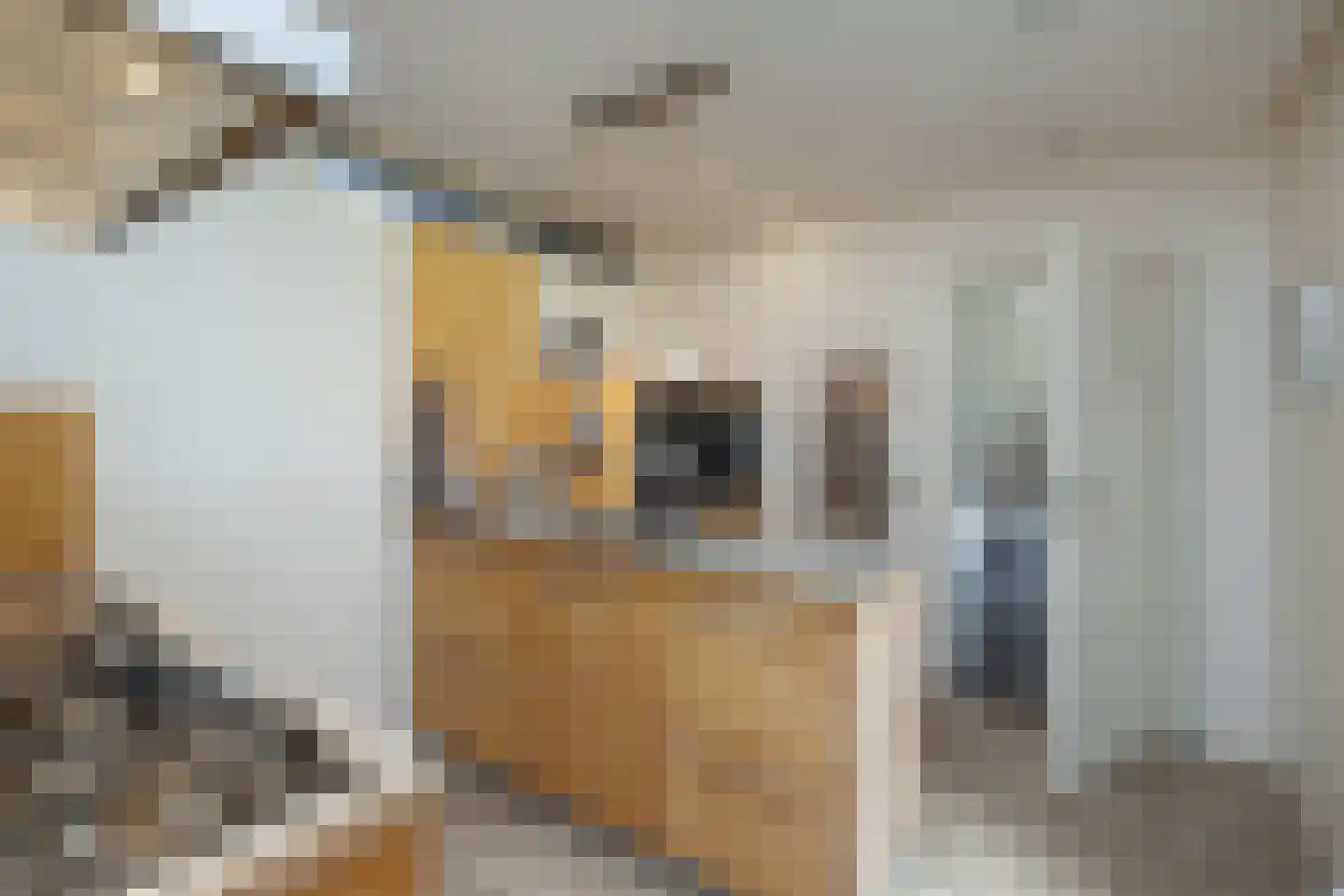 Vleerweg 6 Albergen thumbnail 11