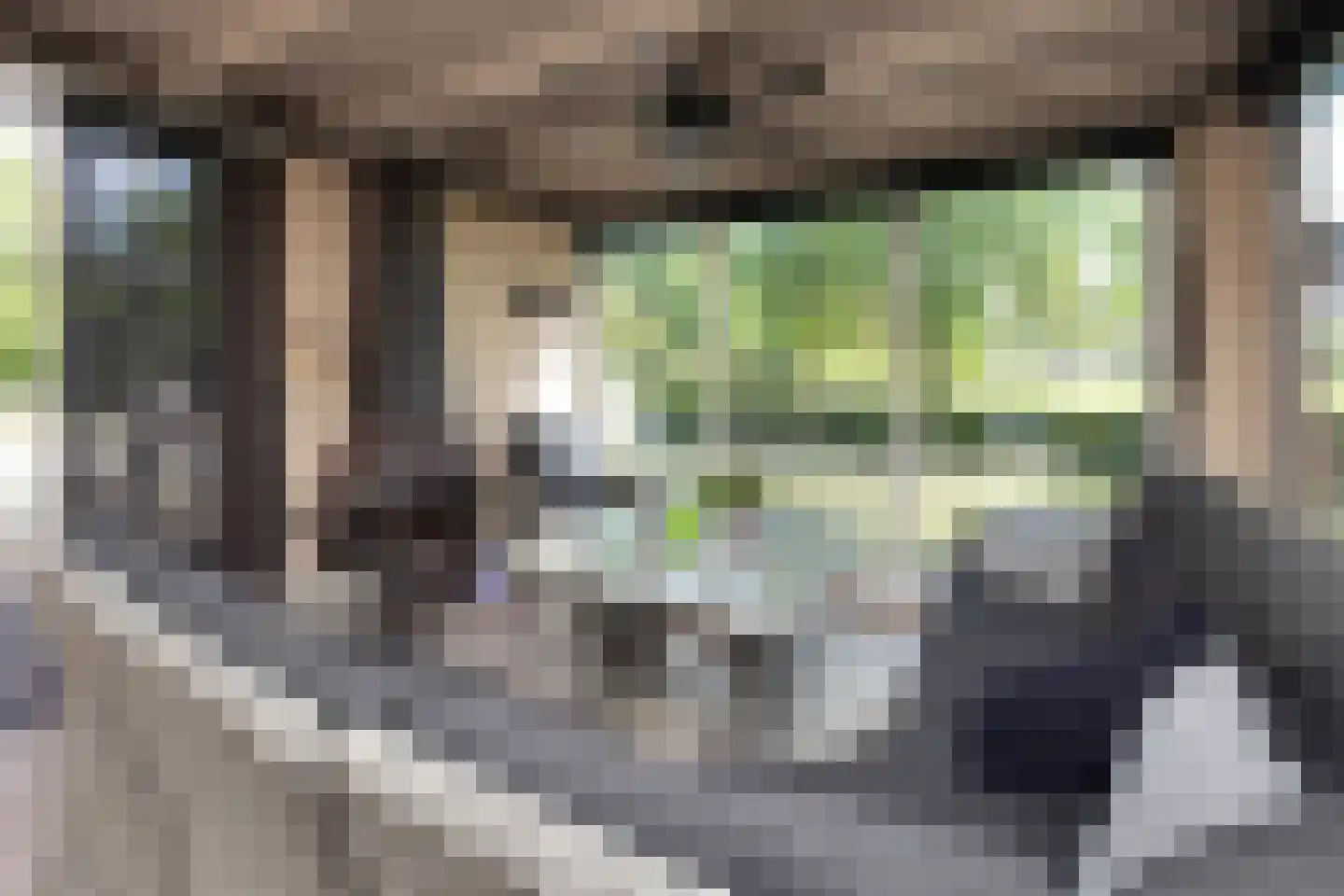 Vleerweg 6 Albergen thumbnail 12