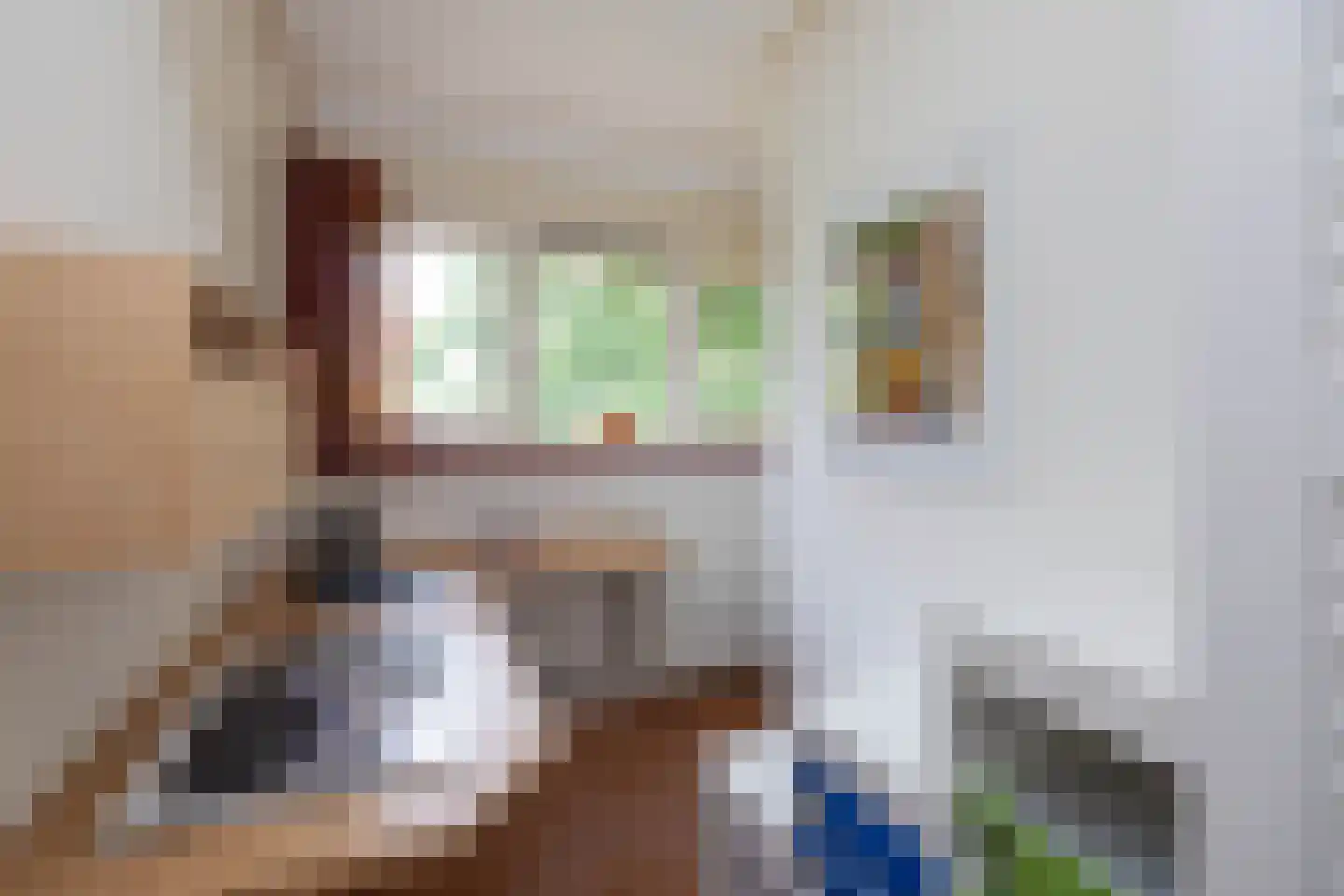 Vleerweg 6 Albergen thumbnail 19