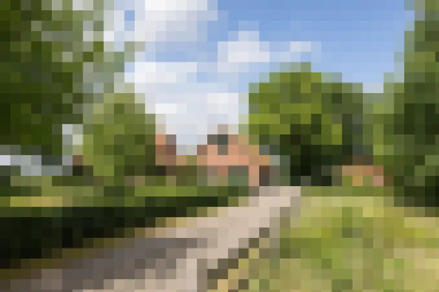 Vleerweg 6 Albergen foto 2