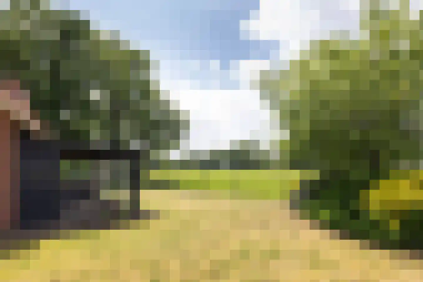 Vleerweg 6 Albergen thumbnail 28