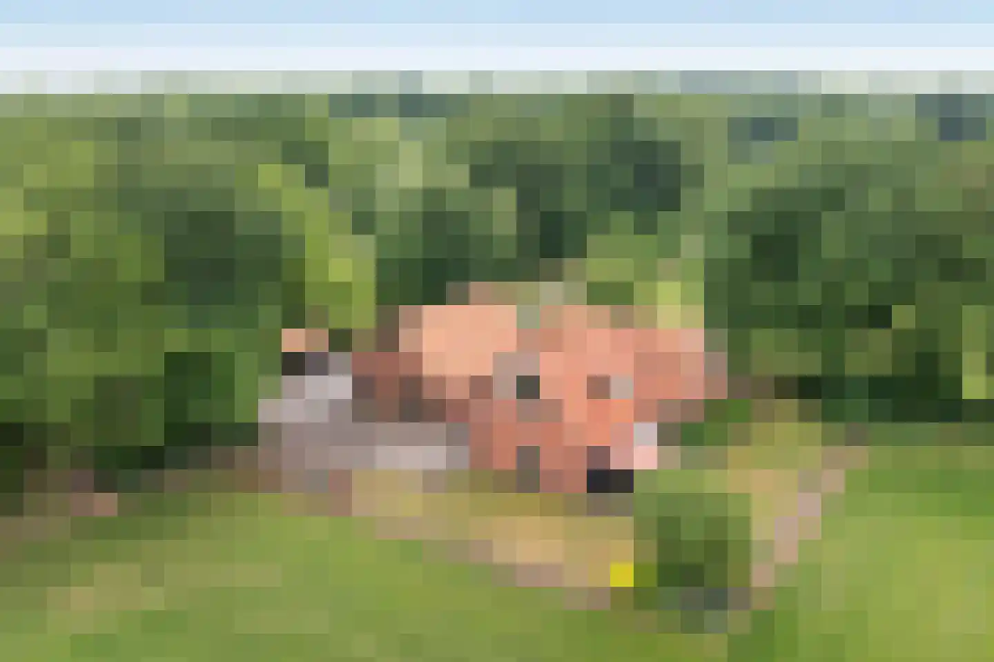 Vleerweg 6 Albergen thumbnail 30