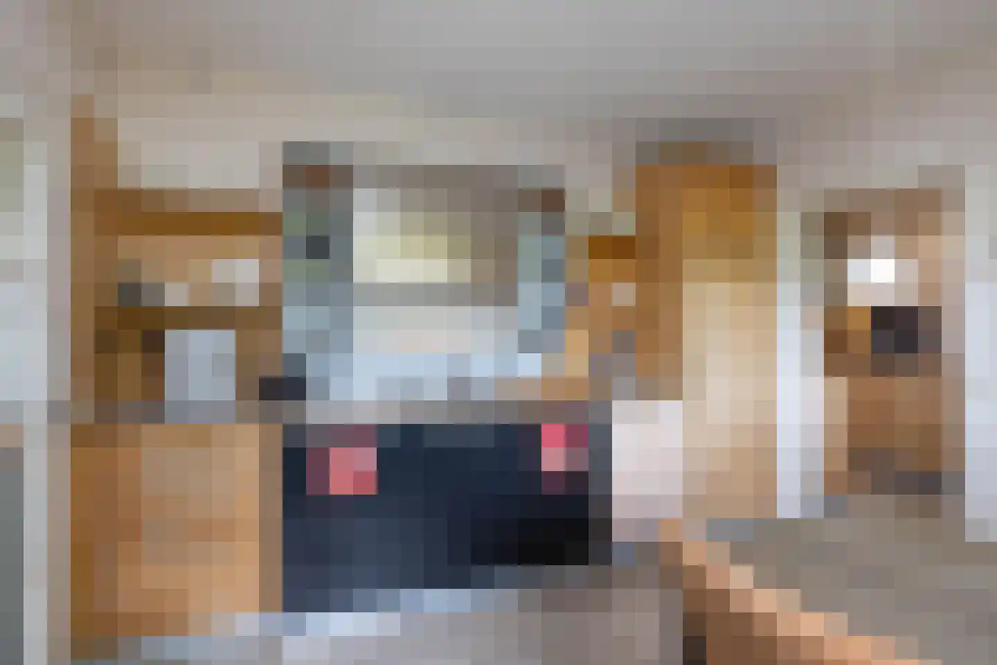 Vleerweg 6 Albergen thumbnail 8