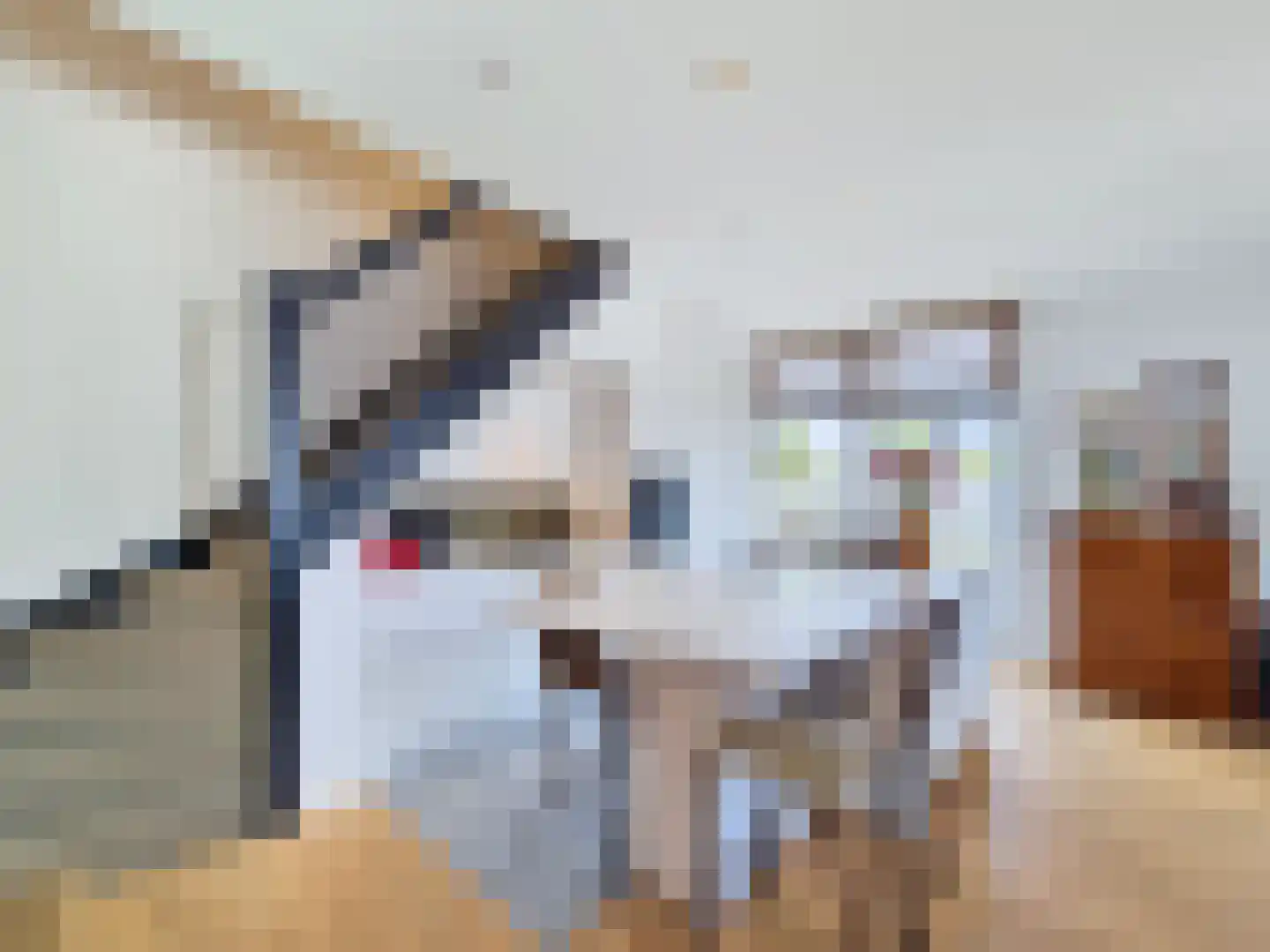 Vleeshouwerijstraat 19 Sluis thumbnail 11