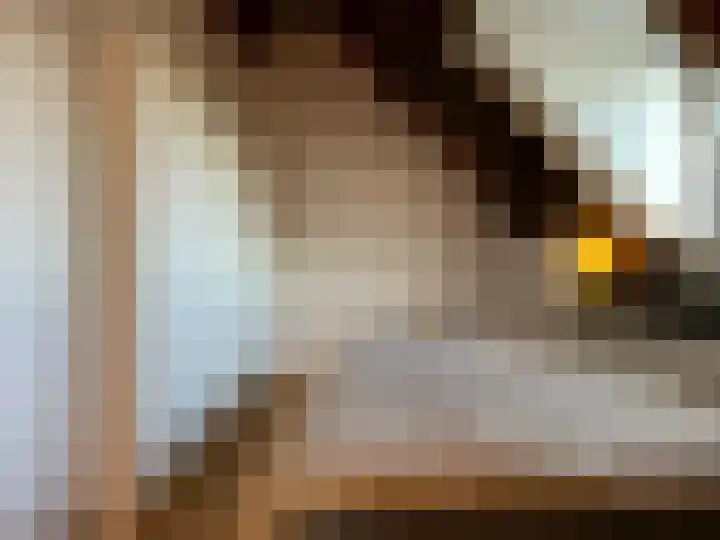 Vleeshouwerijstraat 19 Sluis thumbnail 12