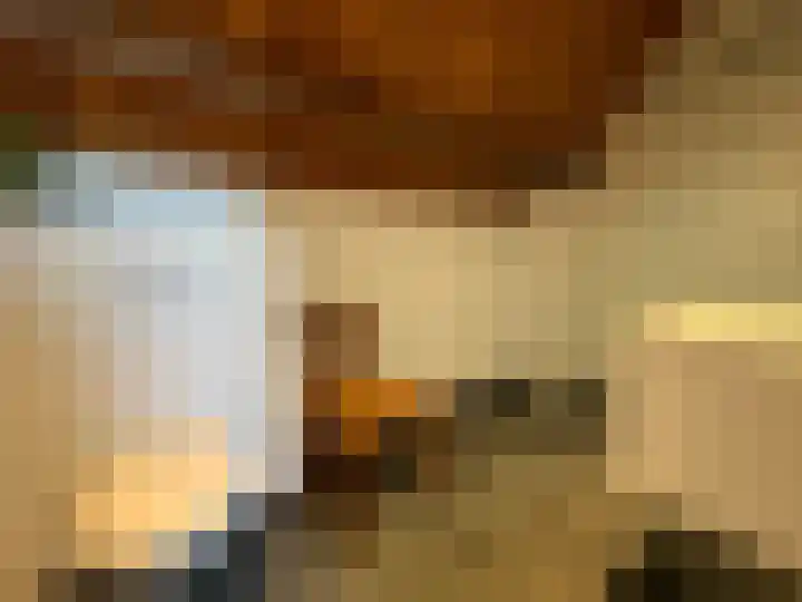Vleeshouwerijstraat 19 Sluis thumbnail 14