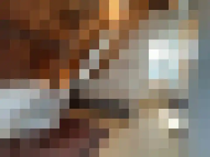 Vleeshouwerijstraat 19 Sluis thumbnail 16