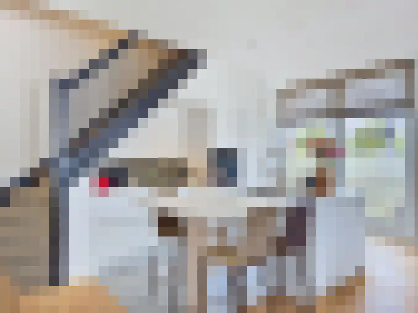 Vleeshouwerijstraat 19 Sluis thumbnail 18