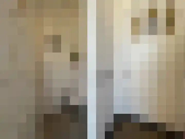 Vleeshouwerijstraat 19 Sluis thumbnail 20