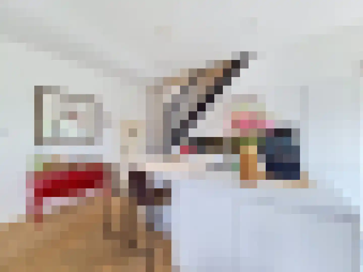 Vleeshouwerijstraat 19 Sluis thumbnail 21