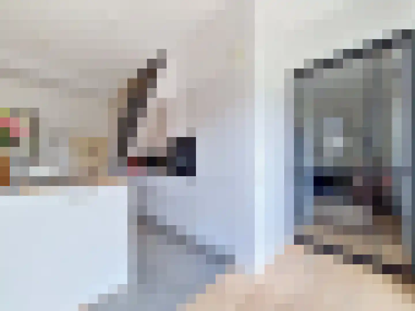 Vleeshouwerijstraat 19 Sluis thumbnail 23
