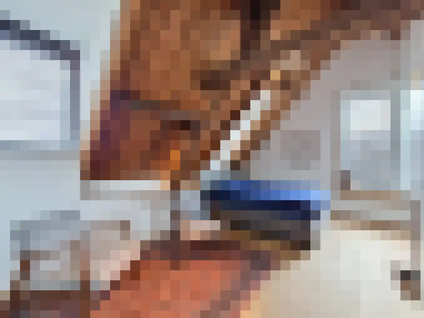 Vleeshouwerijstraat 19 Sluis thumbnail 28