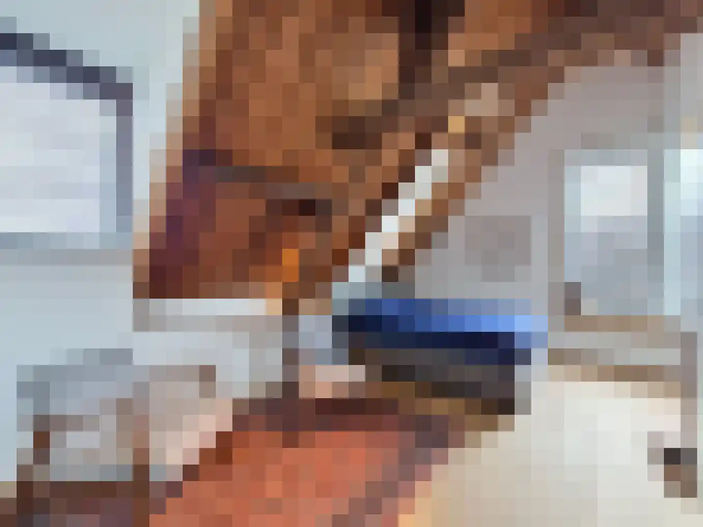 Vleeshouwerijstraat 19 Sluis thumbnail 31