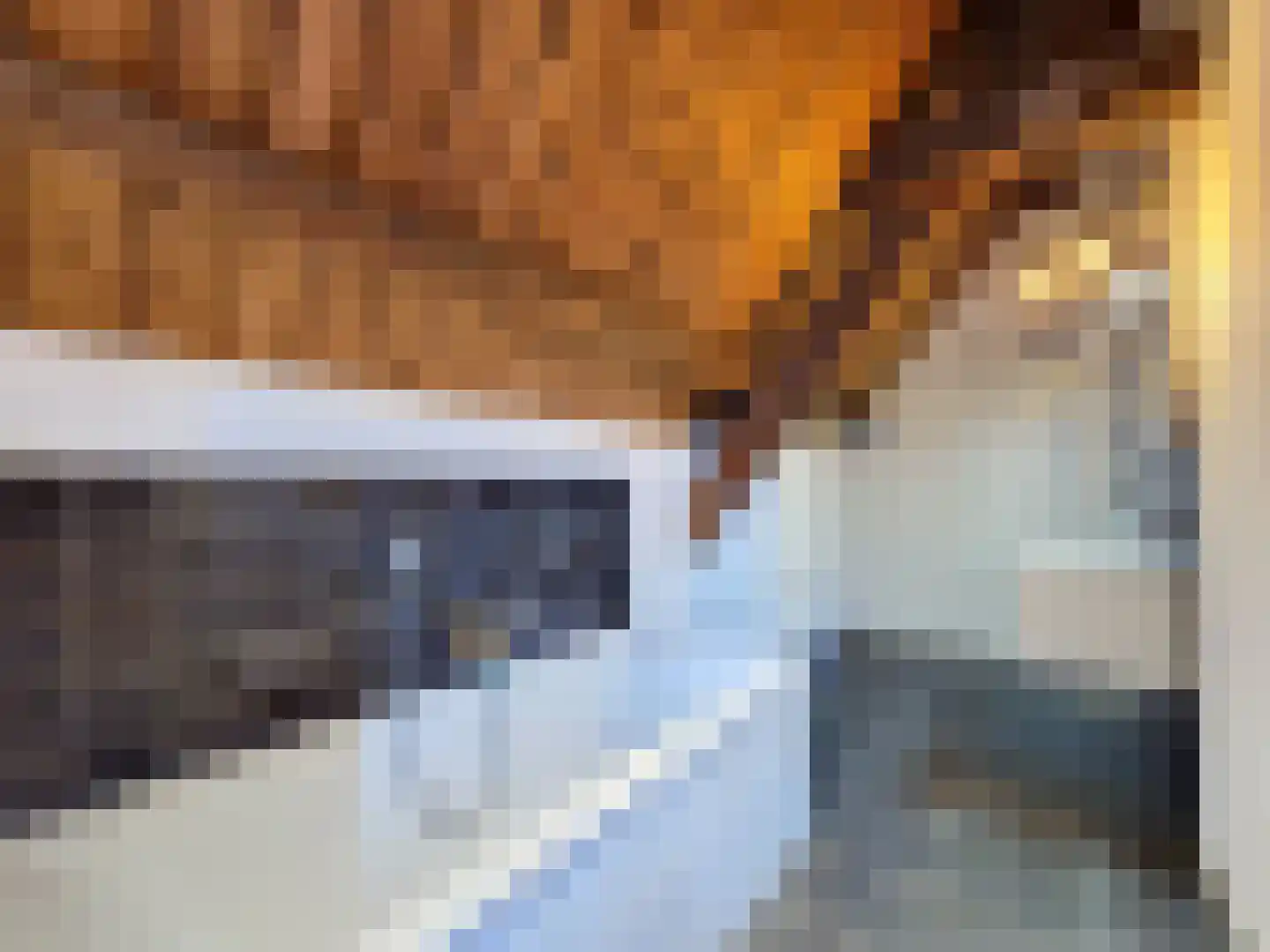 Vleeshouwerijstraat 19 Sluis thumbnail 32