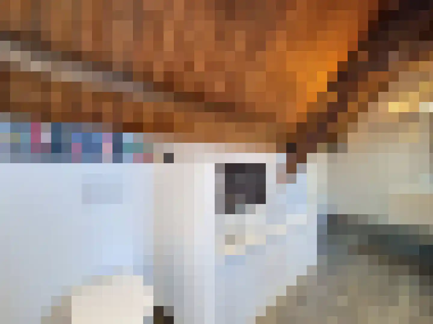 Vleeshouwerijstraat 19 Sluis thumbnail 33