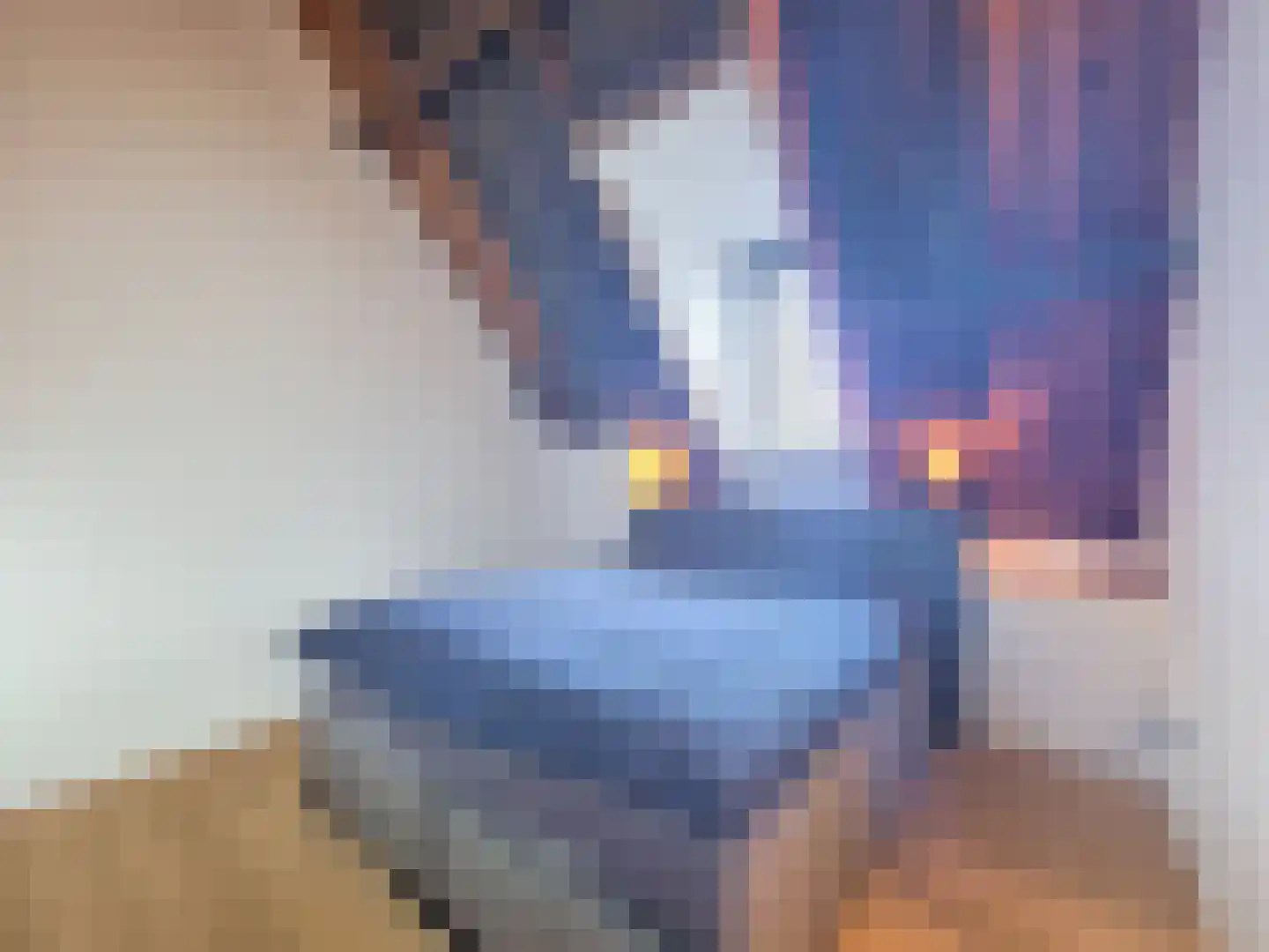 Vleeshouwerijstraat 19 Sluis thumbnail 36
