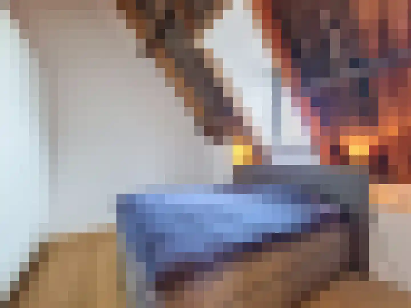 Vleeshouwerijstraat 19 Sluis thumbnail 37