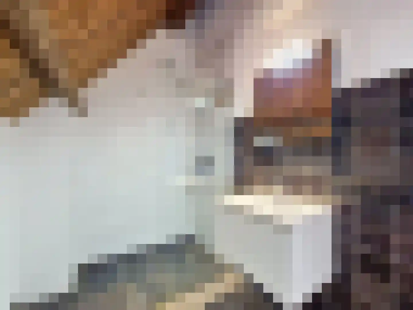 Vleeshouwerijstraat 19 Sluis thumbnail 38