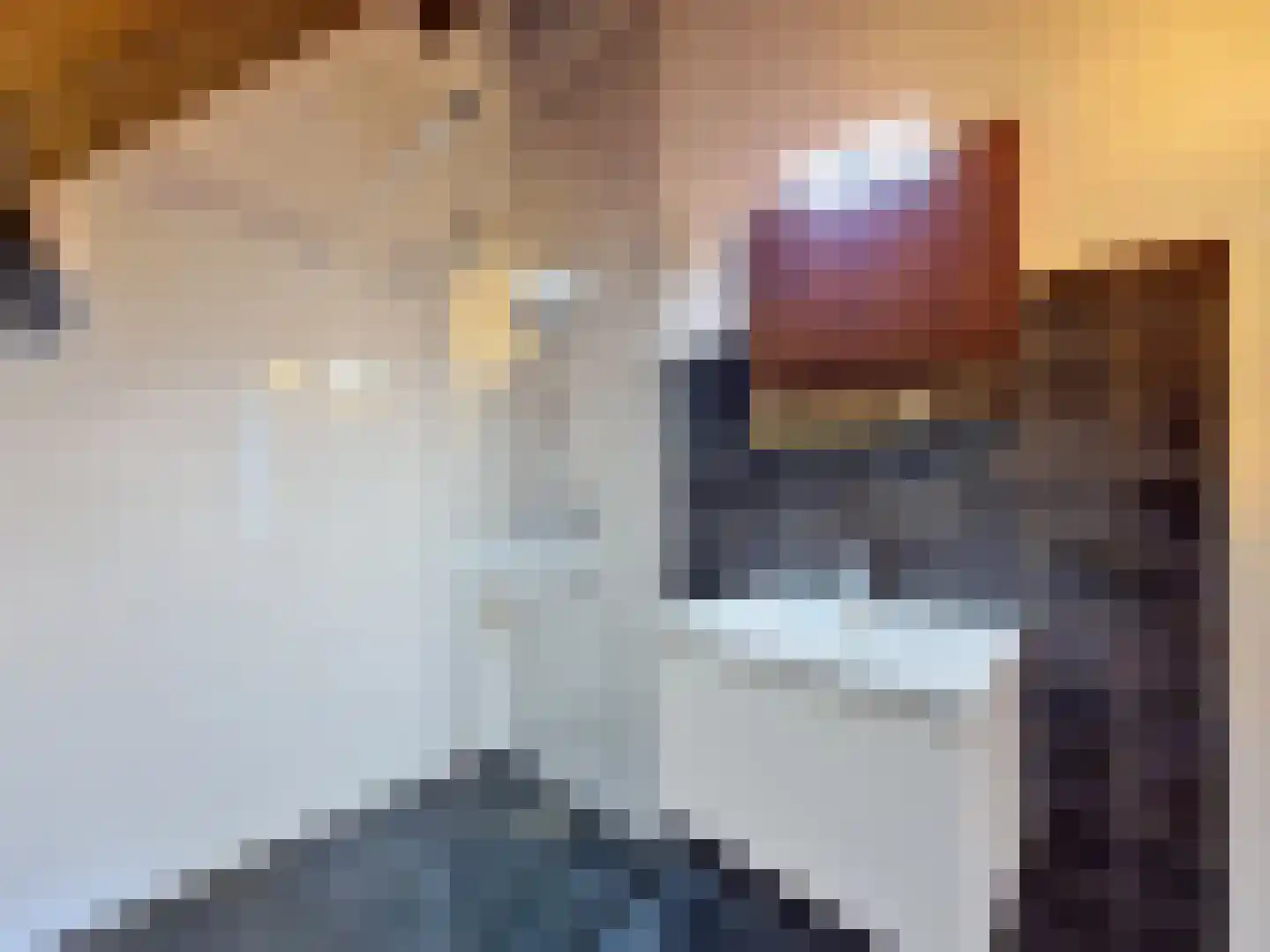 Vleeshouwerijstraat 19 Sluis thumbnail 39