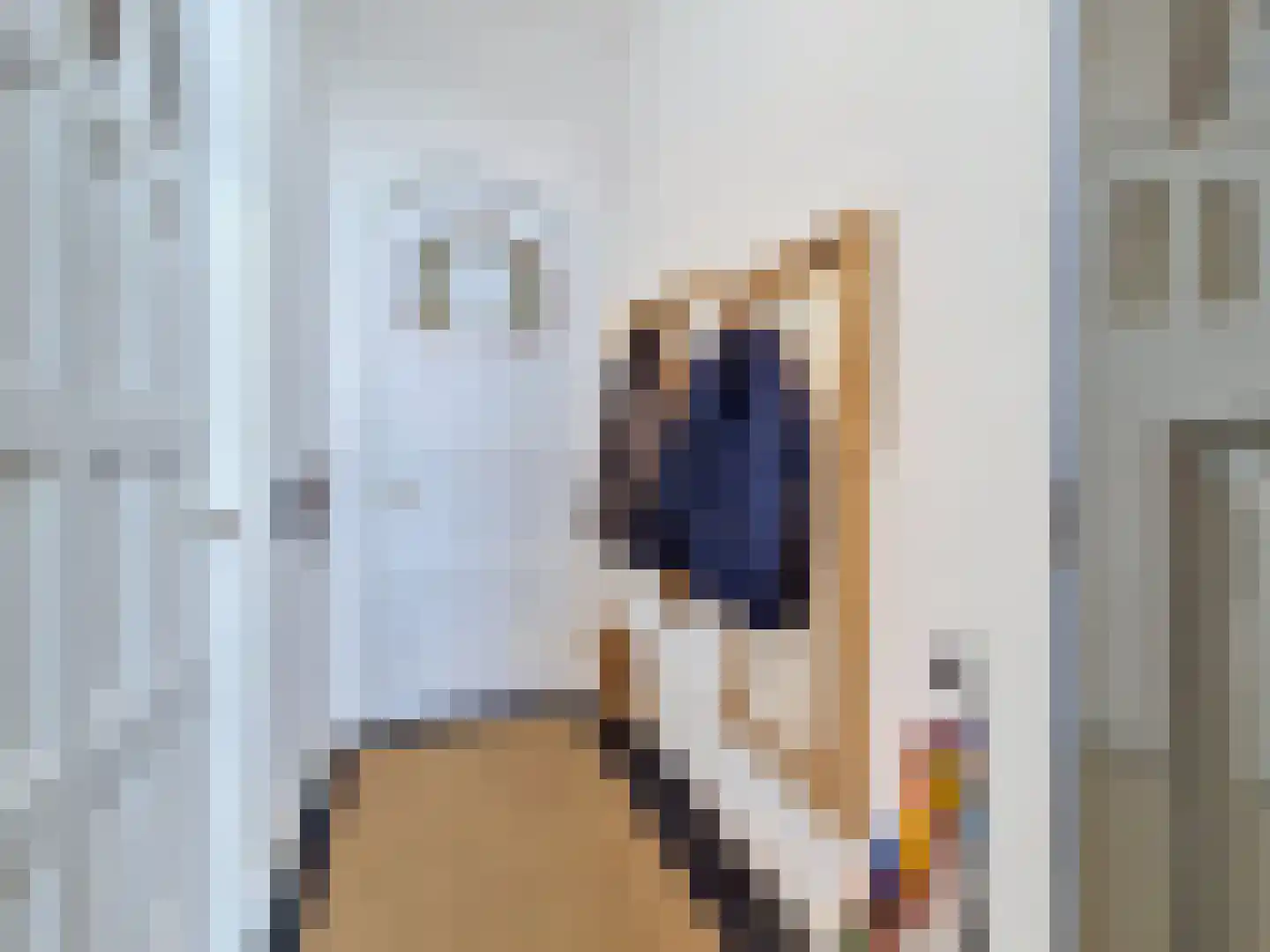 Vleeshouwerijstraat 19 Sluis thumbnail 4