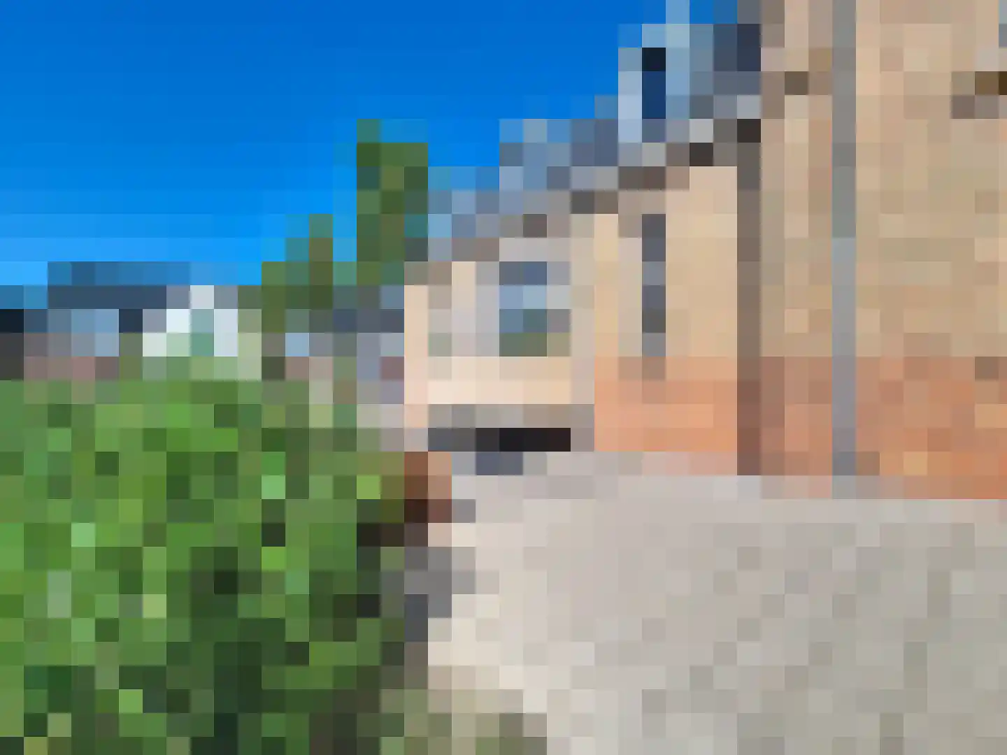 Vleeshouwerijstraat 19 Sluis thumbnail 43