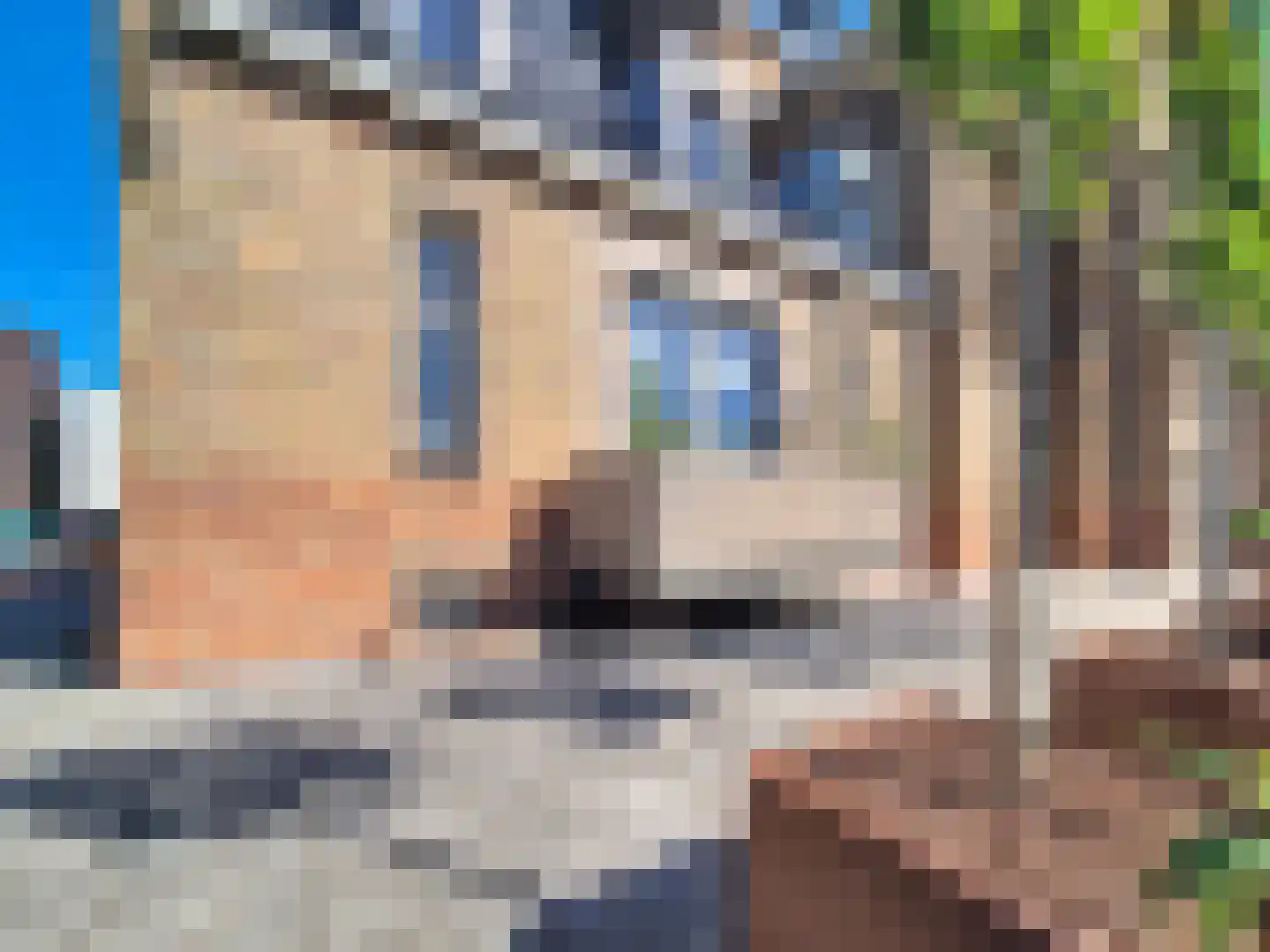 Vleeshouwerijstraat 19 Sluis thumbnail 5