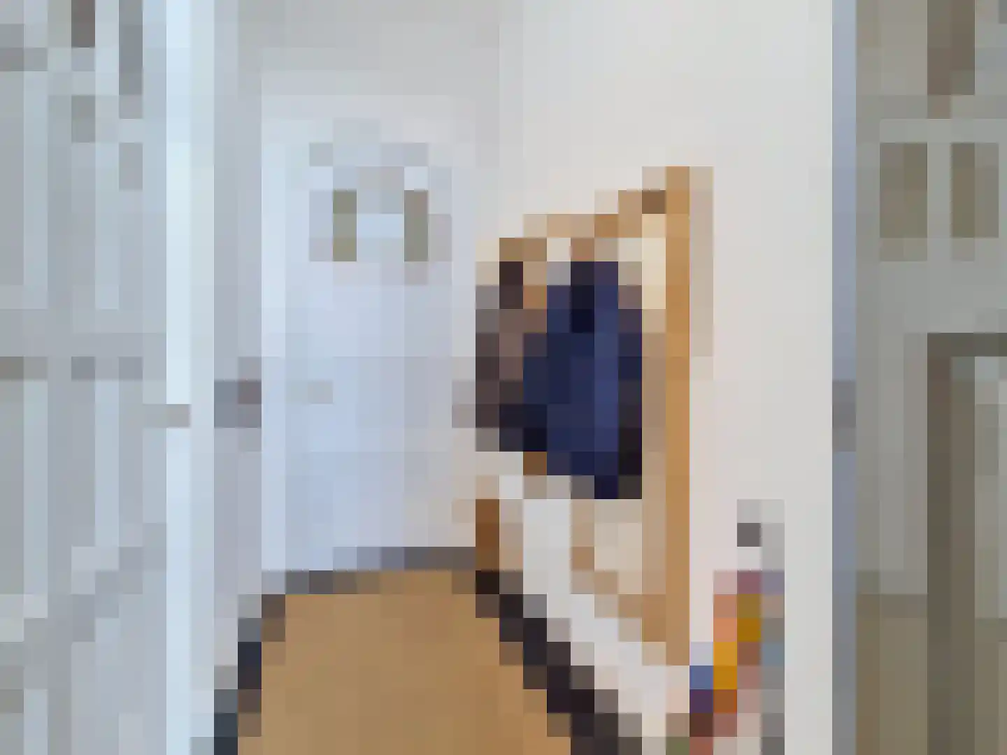 Vleeshouwerijstraat 19 Sluis thumbnail 6