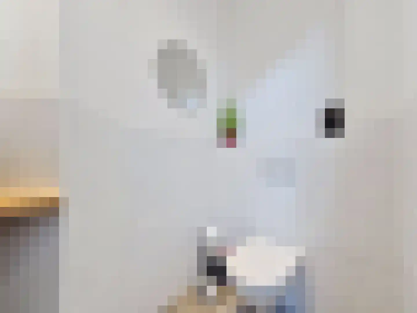 Vleeshouwerijstraat 19 Sluis thumbnail 7
