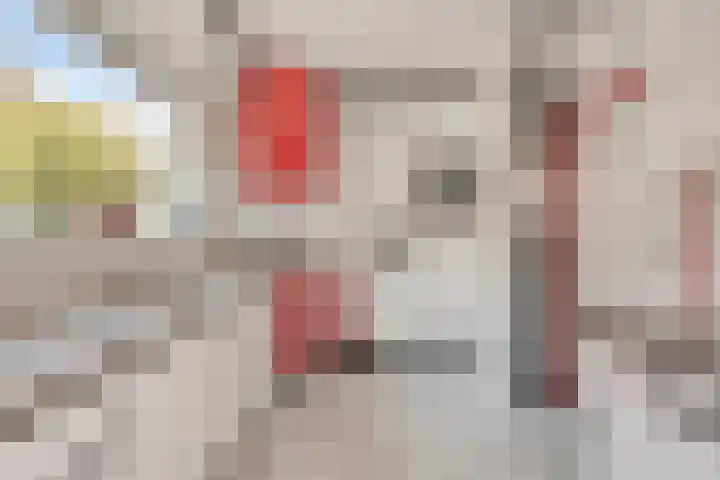Vleeshouwersdreef 21 Maastricht thumbnail 14