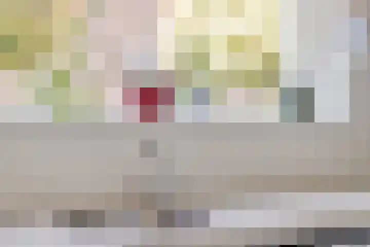 Vleeshouwersdreef 21 Maastricht thumbnail 15