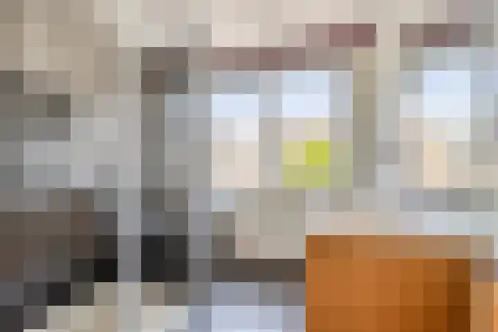 Vleeshouwersdreef 21 Maastricht thumbnail 19