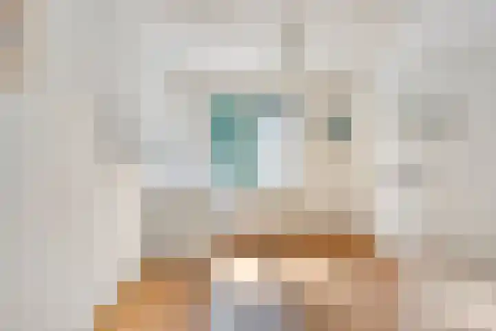 Vleeshouwersdreef 21 Maastricht thumbnail 23