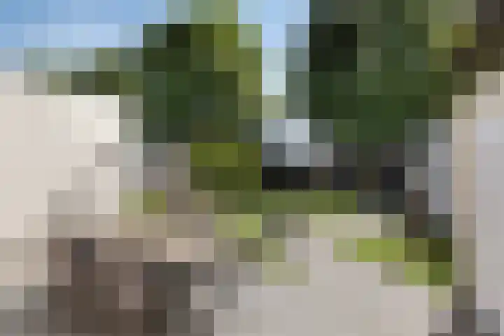 Vleeshouwersdreef 21 Maastricht thumbnail 28