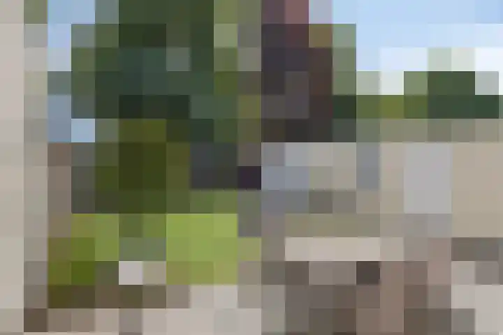 Vleeshouwersdreef 21 Maastricht thumbnail 29