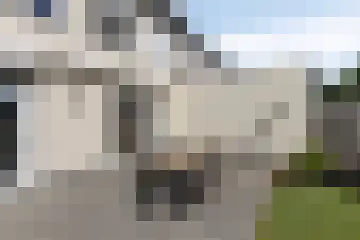 Vleeshouwersdreef 21 Maastricht thumbnail 30