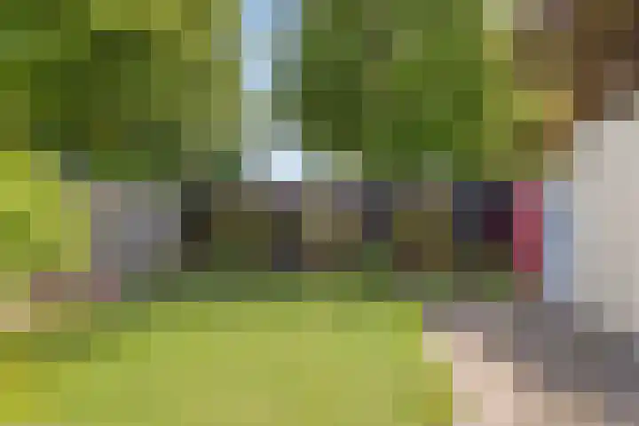 Vleeshouwersdreef 21 Maastricht thumbnail 31