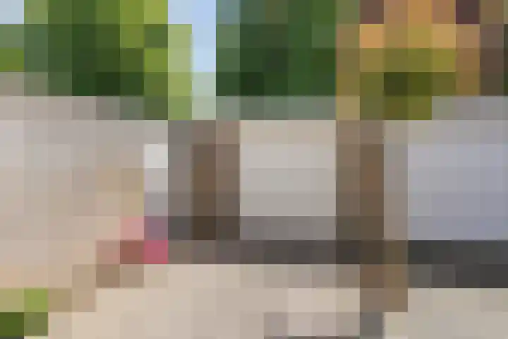 Vleeshouwersdreef 21 Maastricht thumbnail 34