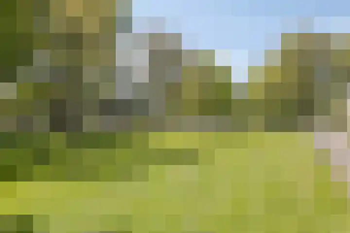 Vleeshouwersdreef 21 Maastricht thumbnail 39