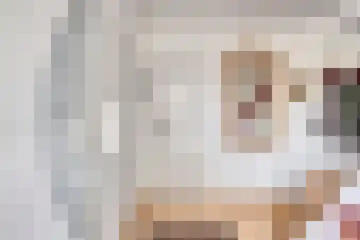 Vleeshouwersdreef 21 Maastricht thumbnail 4