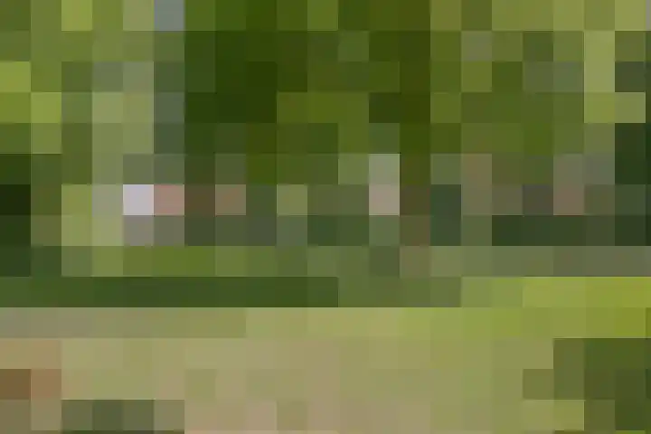 Vleeshouwersdreef 21 Maastricht thumbnail 40