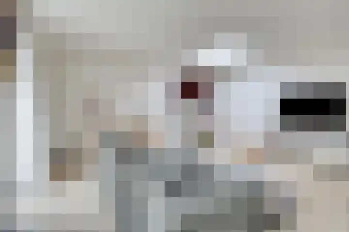 Vleeshouwersdreef 4 Maastricht thumbnail 11