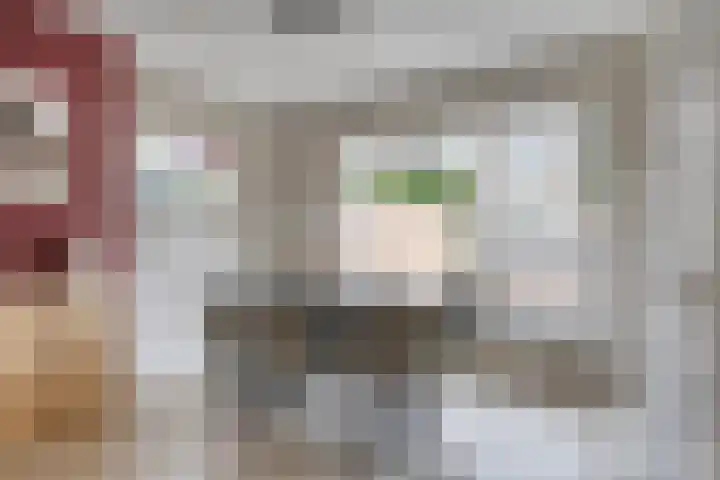Vleeshouwersdreef 4 Maastricht thumbnail 13